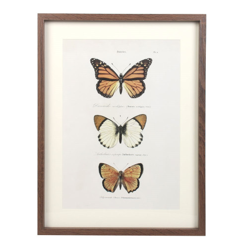 40cm Framed Butterfly Wall Art